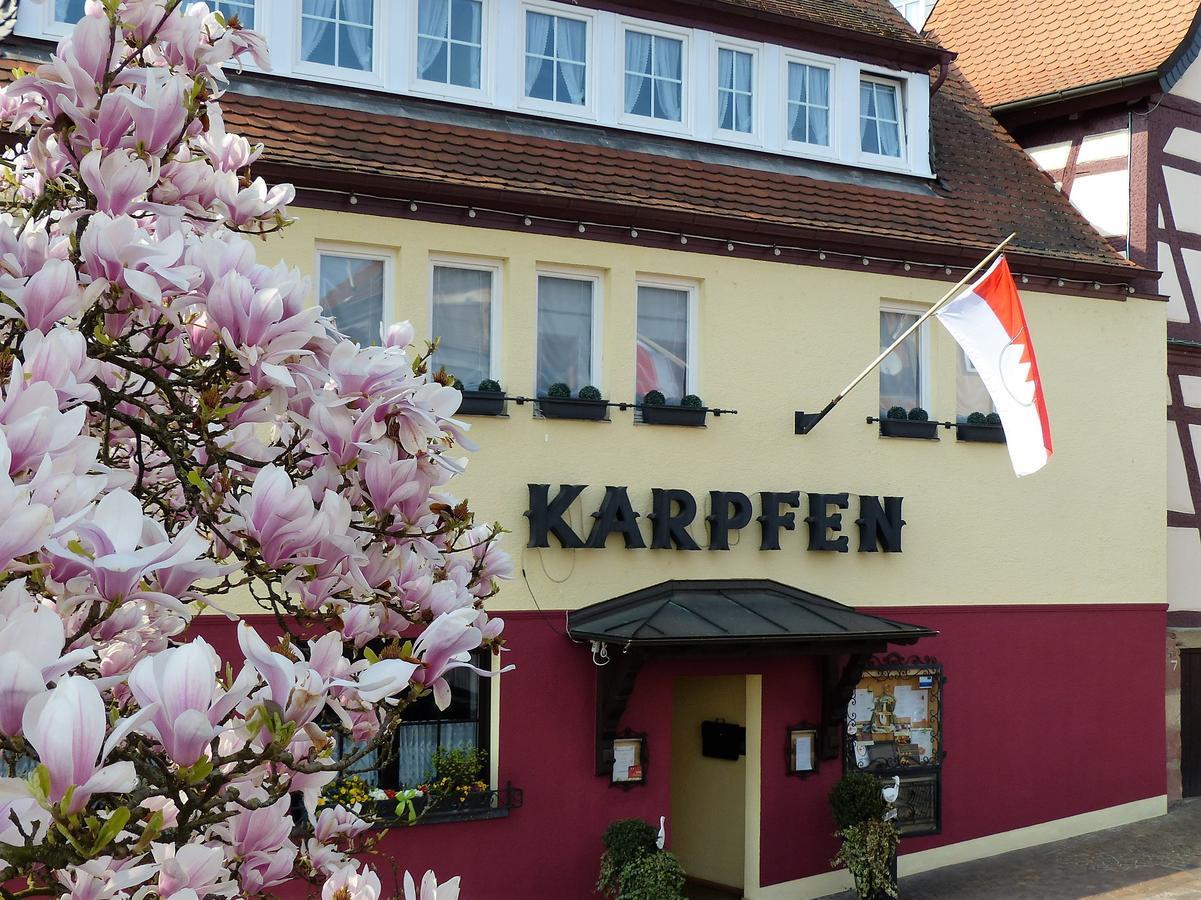 Hotel Zum Karpfen Obernburg am Main Exterior foto